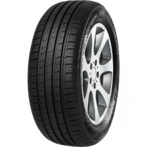 MINERVA F209 205/55R15 88V